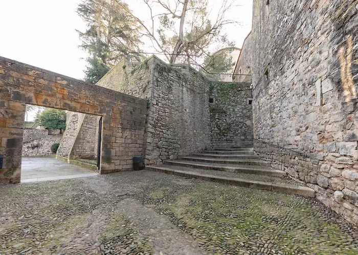 Bravissimo Sacsimort *